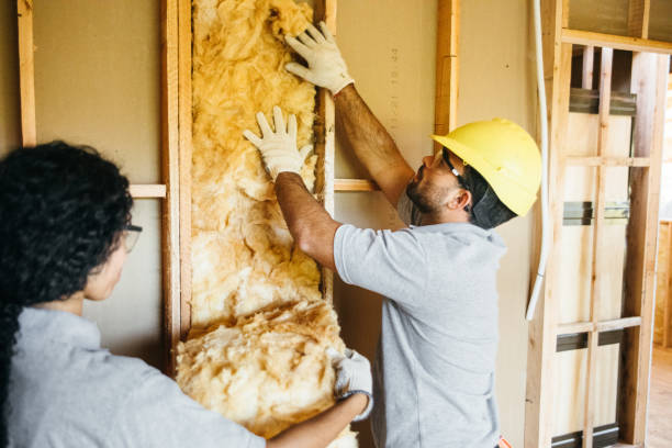 Best Batt and Roll Insulation  in Allyn, WA